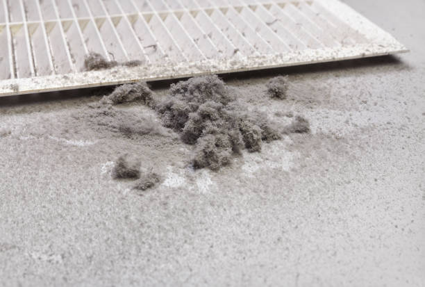 Best Affordable Duct Cleaning Services  in , NJ