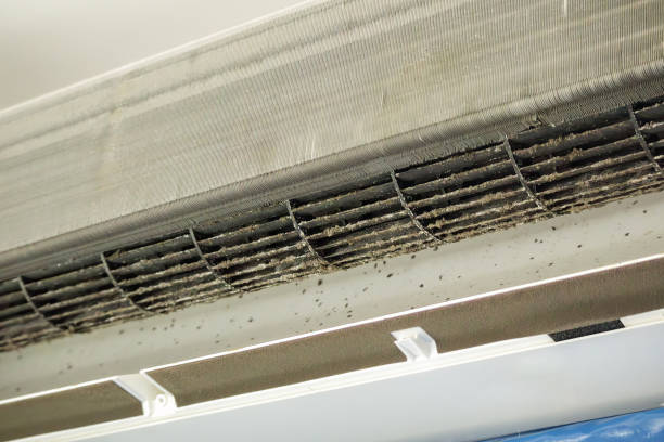 Best Emergency Air Duct Cleaning  in , NJ